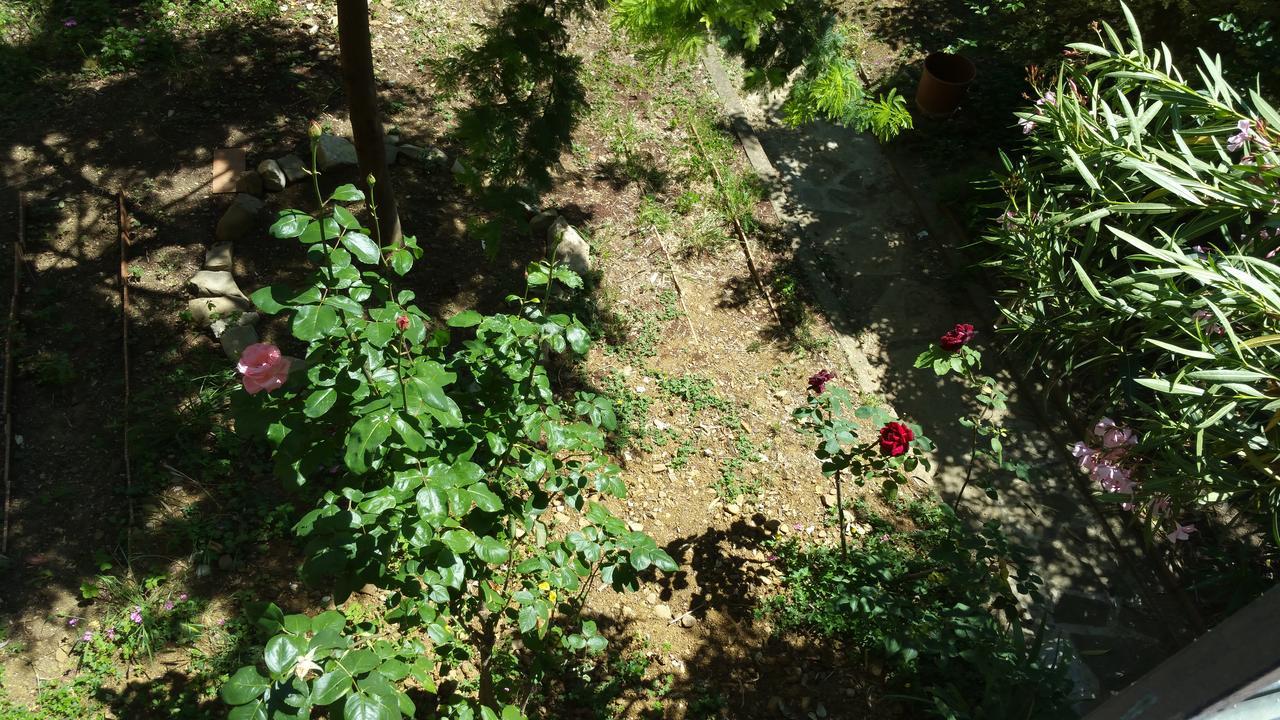 La Villa Nei Fiori Florence Buitenkant foto